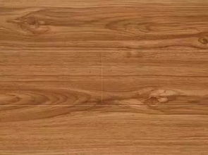 地板木材之最 不懂這些，被坑真不冤